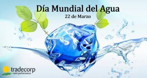 Día Internacional del Agua 